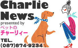 [Charlie News] presented by ペットのチャーリィ TEL.(087)874-9234